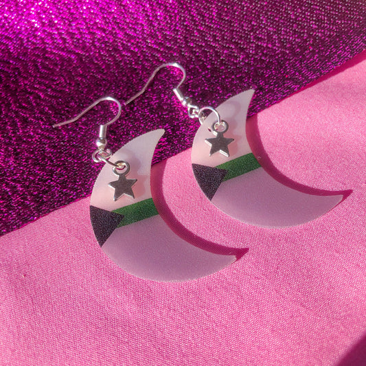 Demiromantic flag crescent moon earrings